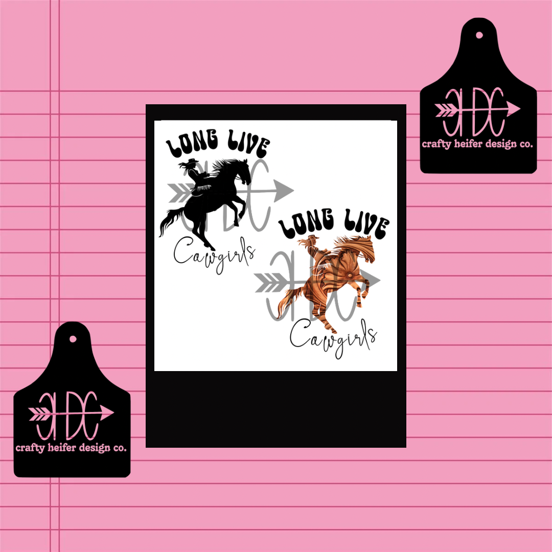 Long Live Cowgirls SET OF 2 // PNG